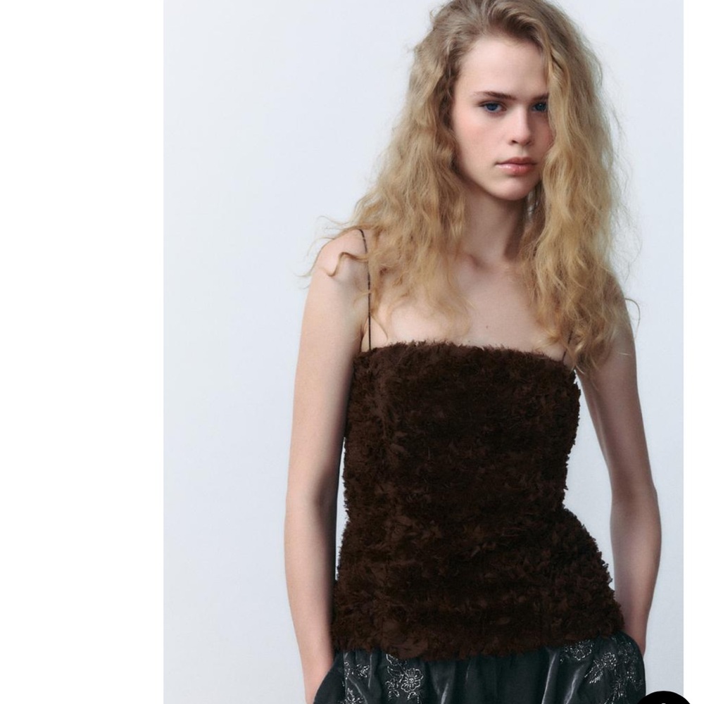 Zara VOLUMINOUS MESH TOP NWT Size Small